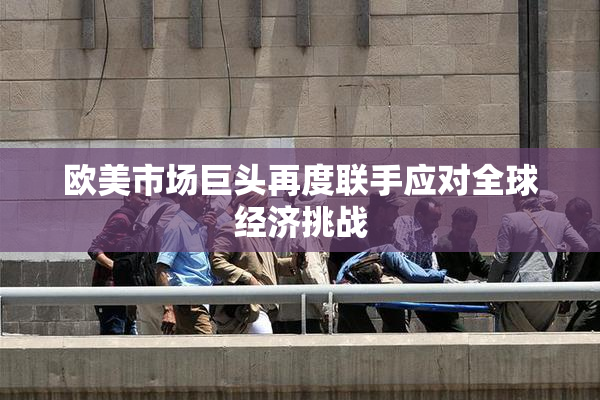 欧美市场巨头再度联手应对全球经济挑战
