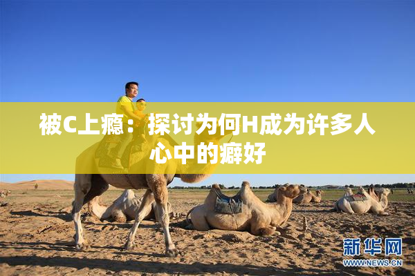 被C上瘾：探讨为何H成为许多人心中的癖好