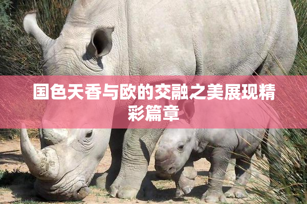 国色天香与欧的交融之美展现精彩篇章