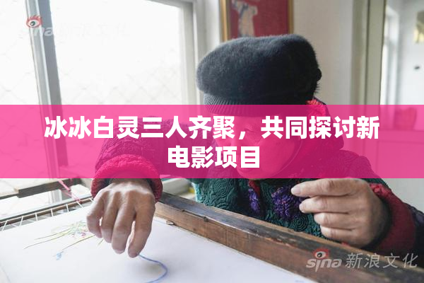 冰冰白灵三人齐聚，共同探讨新电影项目