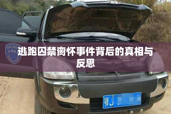 逃跑囚禁脔怀事件背后的真相与反思