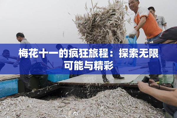 梅花十一的疯狂旅程：探索无限可能与精彩