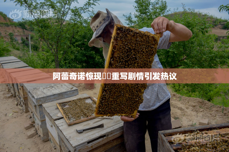 阿蕾奇诺惊现❌‌重写剧情引发热议