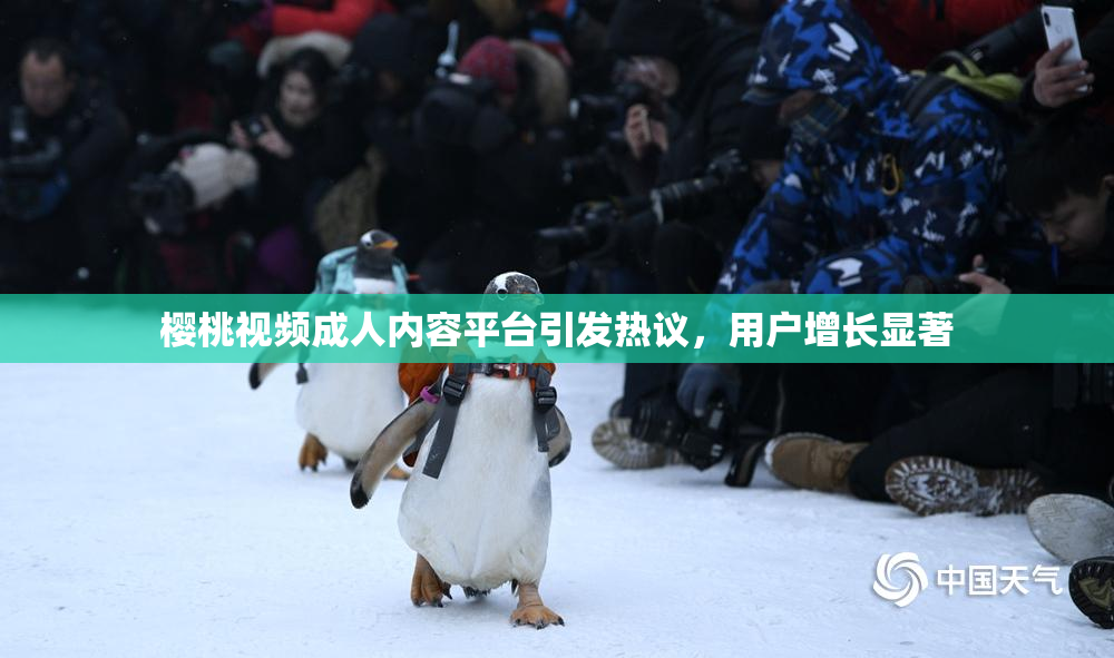 樱桃视频成人内容平台引发热议，用户增长显著