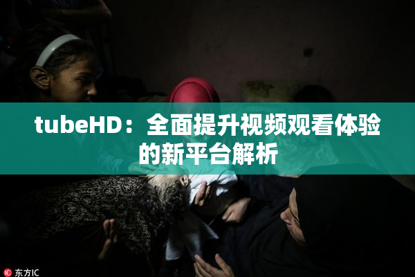 tubeHD：全面提升视频观看体验的新平台解析