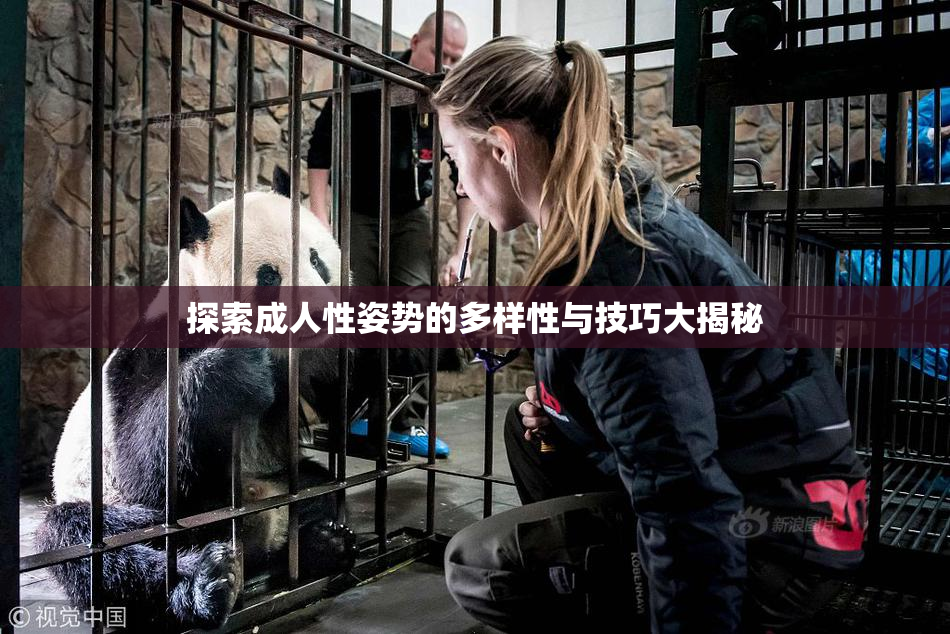 探索成人性姿势的多样性与技巧大揭秘