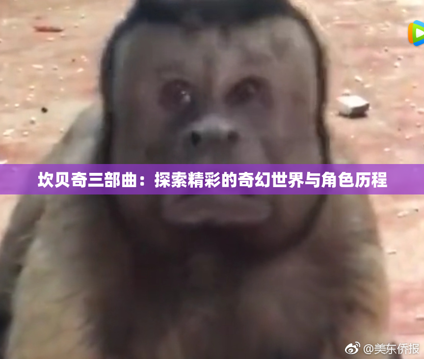 坎贝奇三部曲：探索精彩的奇幻世界与角色历程