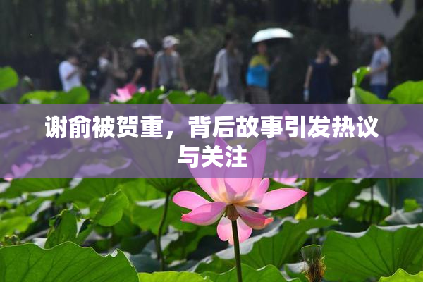 谢俞被贺重，背后故事引发热议与关注