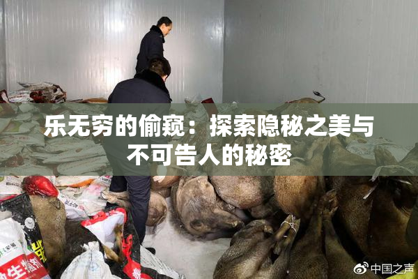乐无穷的偷窥：探索隐秘之美与不可告人的秘密