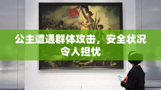 公主遭遇群体攻击，安全状况令人担忧