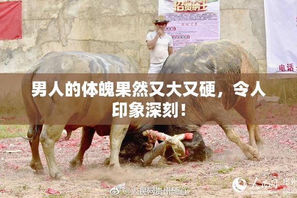 男人的体魄果然又大又硬，令人印象深刻！