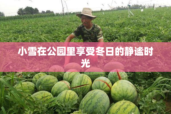 小雪在公园里享受冬日的静谧时光