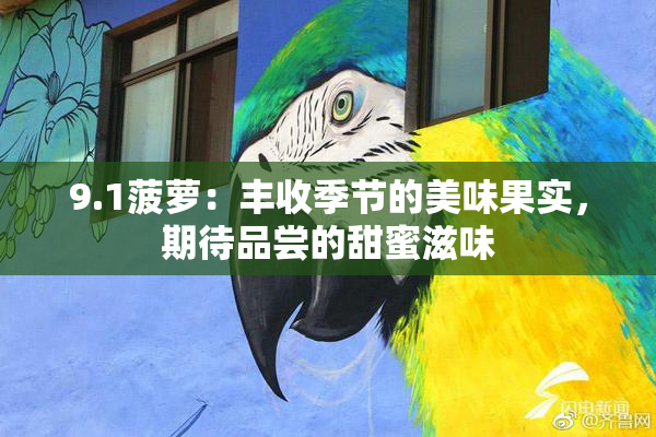 9.1菠萝：丰收季节的美味果实，期待品尝的甜蜜滋味