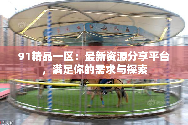 91精品一区：最新资源分享平台，满足你的需求与探索