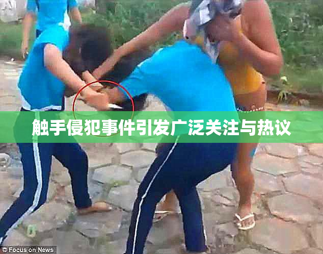 触手侵犯事件引发广泛关注与热议