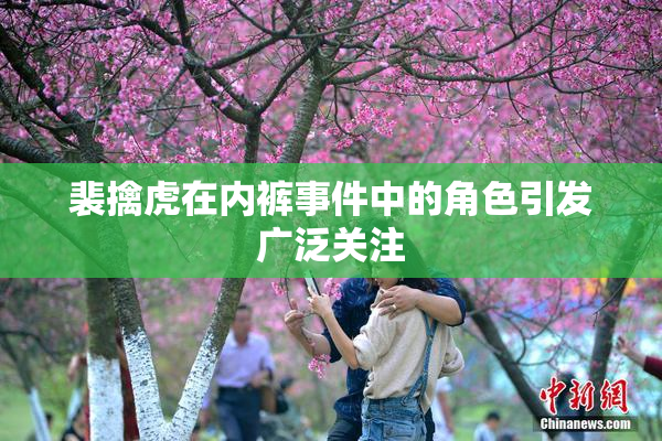 裴擒虎在内裤事件中的角色引发广泛关注