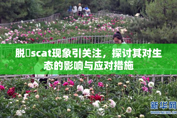脱糞scat现象引关注，探讨其对生态的影响与应对措施