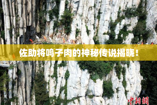 佐助将鸣子肉的神秘传说揭晓！