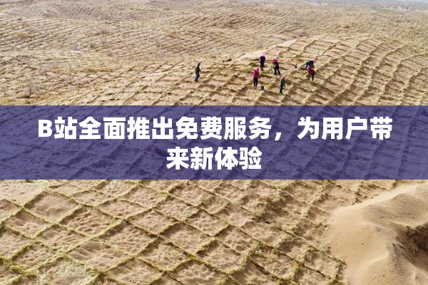 B站全面推出免费服务，为用户带来新体验
