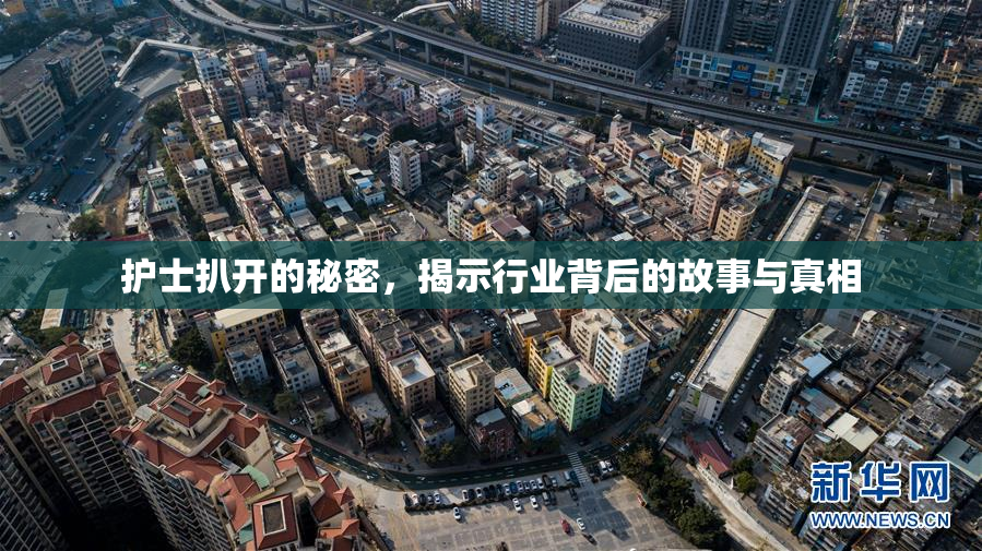 护士扒开的秘密，揭示行业背后的故事与真相