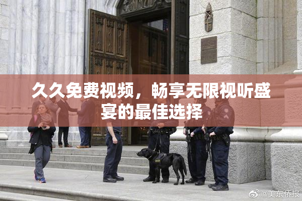 久久免费视频，畅享无限视听盛宴的最佳选择