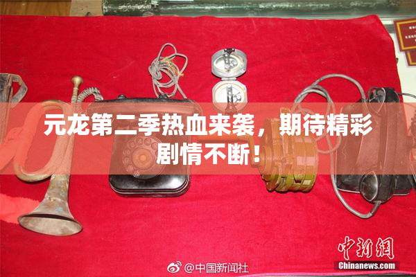 元龙第二季热血来袭，期待精彩剧情不断！