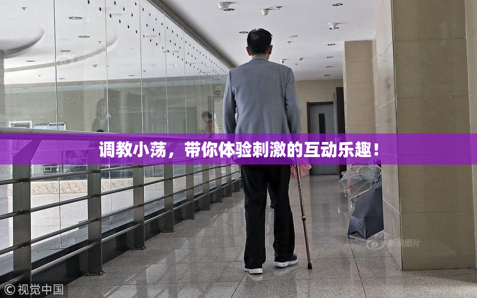 调教小荡，带你体验刺激的互动乐趣！