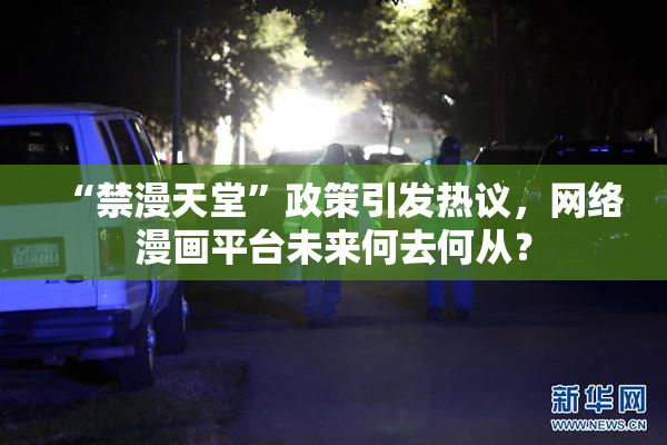 “禁漫天堂”政策引发热议，网络漫画平台未来何去何从？