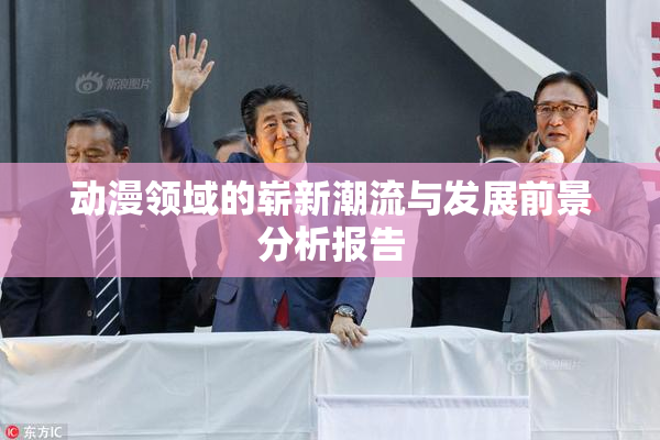 动漫领域的崭新潮流与发展前景分析报告