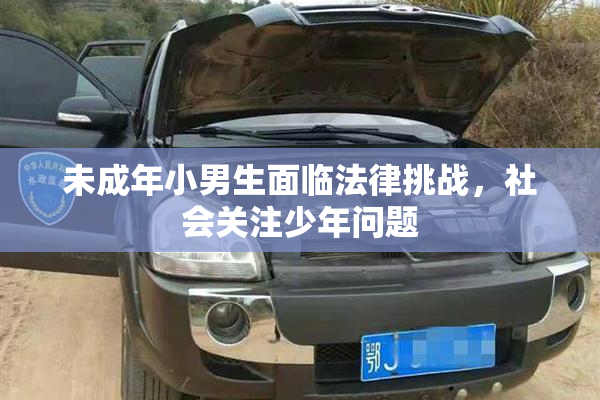 未成年小男生面临法律挑战，社会关注少年问题
