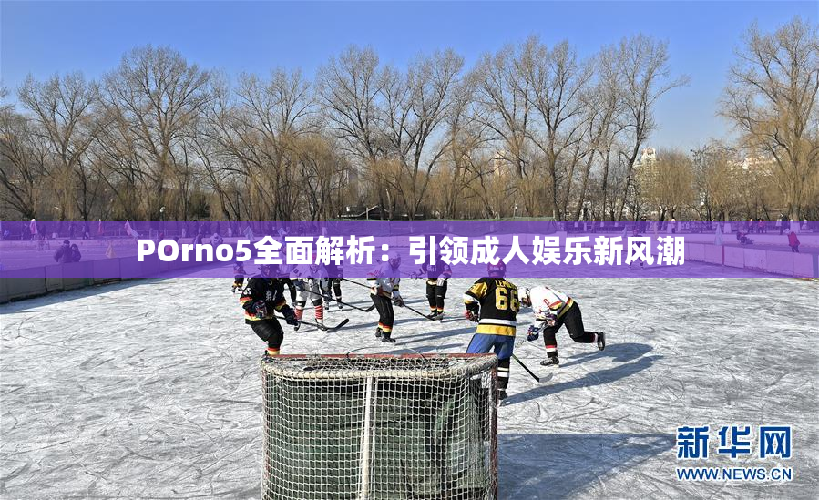 POrno5全面解析：引领成人娱乐新风潮