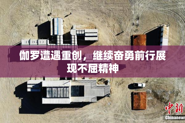伽罗遭遇重创，继续奋勇前行展现不屈精神