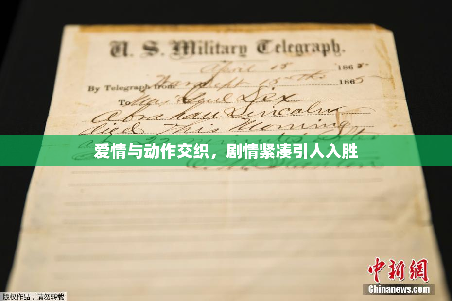 爱情与动作交织，剧情紧凑引人入胜