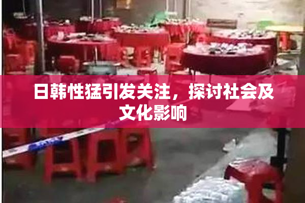 日韩性猛引发关注，探讨社会及文化影响