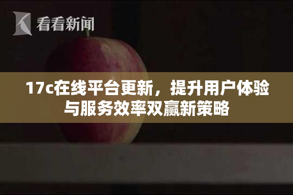 17c在线平台更新，提升用户体验与服务效率双赢新策略