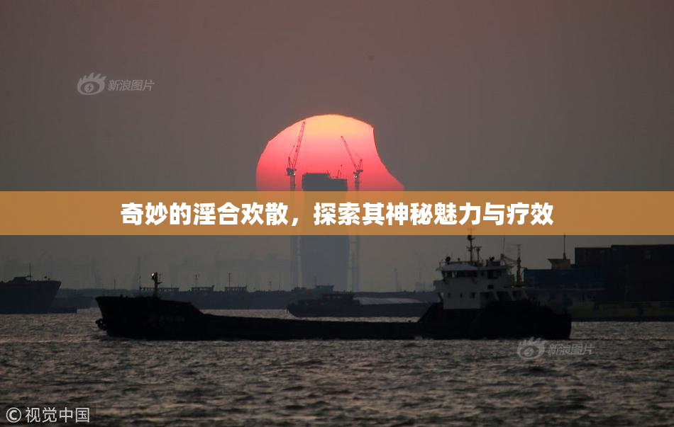 奇妙的淫合欢散，探索其神秘魅力与疗效