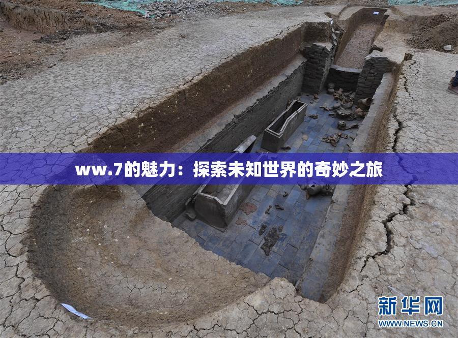 ww.7的魅力：探索未知世界的奇妙之旅
