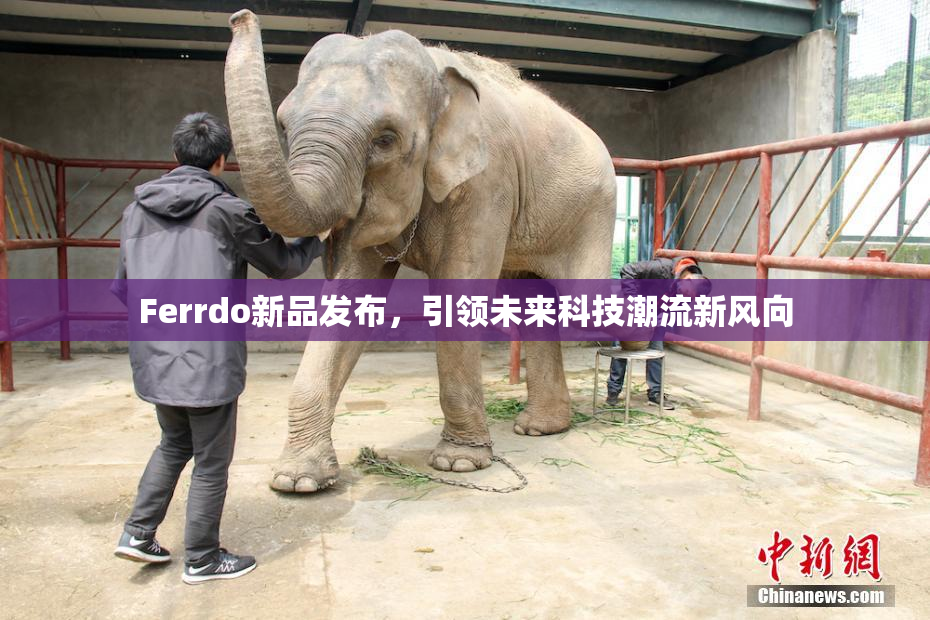Ferrdo新品发布，引领未来科技潮流新风向