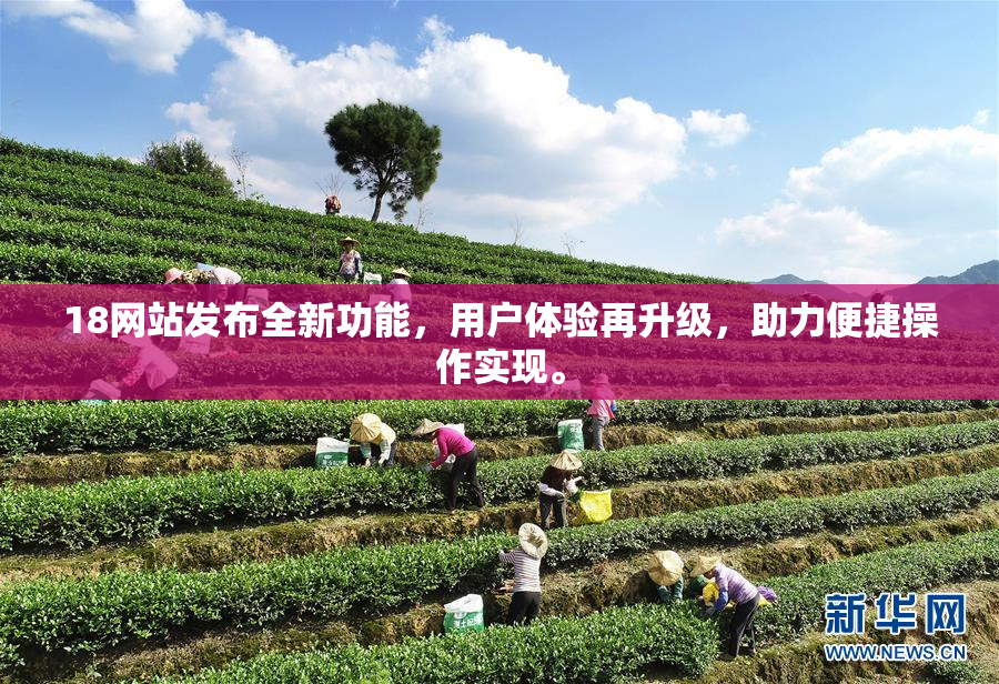 18网站发布全新功能，用户体验再升级，助力便捷操作实现。