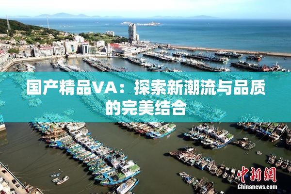 国产精品VA：探索新潮流与品质的完美结合