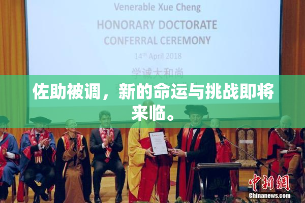 佐助被调，新的命运与挑战即将来临。