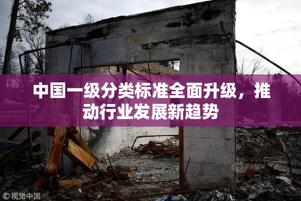 中国一级分类标准全面升级，推动行业发展新趋势