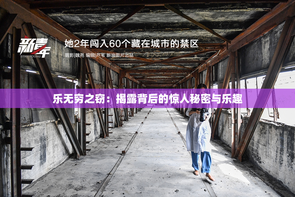 乐无穷之窃：揭露背后的惊人秘密与乐趣