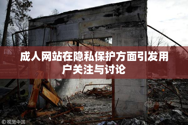 成人网站在隐私保护方面引发用户关注与讨论