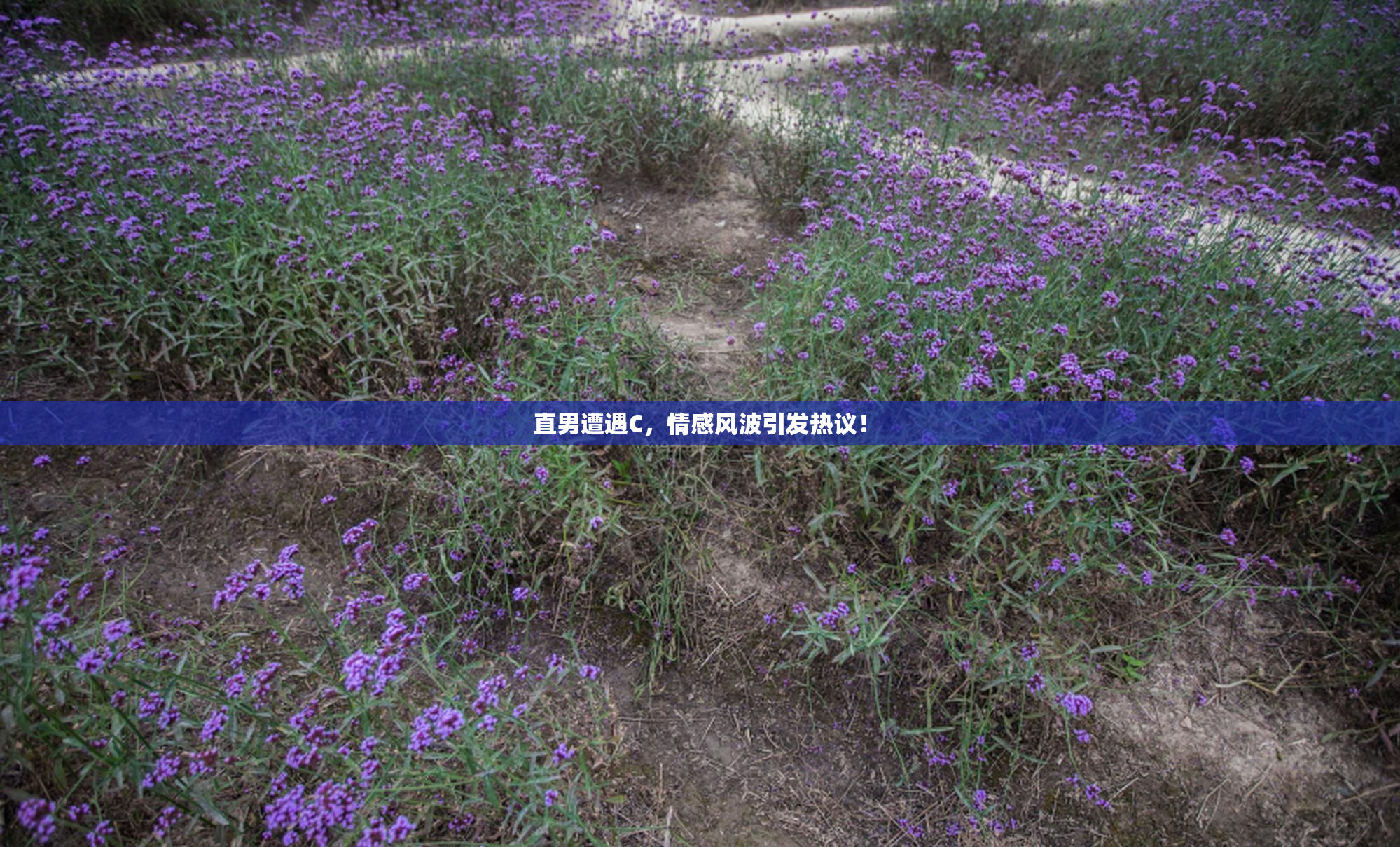 直男遭遇C，情感风波引发热议！