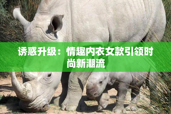诱惑升级：情趣内衣女款引领时尚新潮流