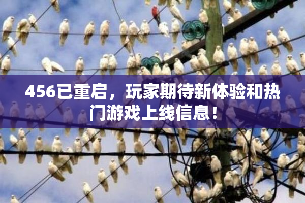 456已重启，玩家期待新体验和热门游戏上线信息！