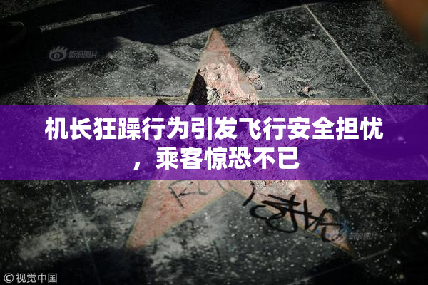 机长狂躁行为引发飞行安全担忧，乘客惊恐不已