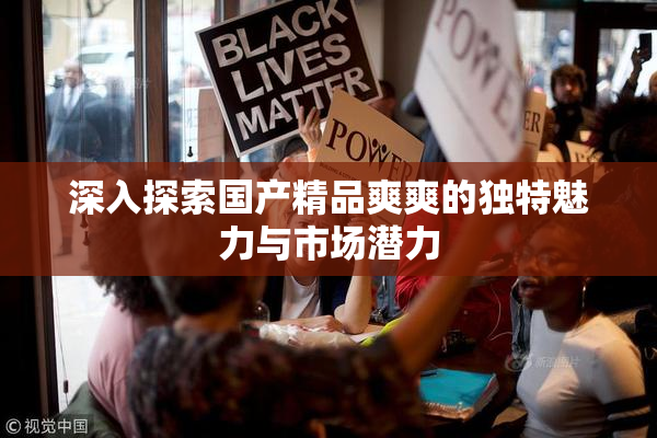 深入探索国产精品爽爽的独特魅力与市场潜力