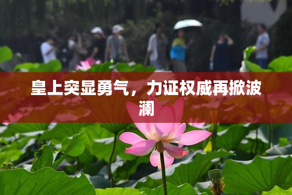 皇上突显勇气，力证权威再掀波澜